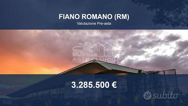 Immobile in asta di 21508 m² a Fiano Romano