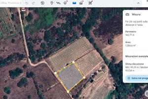 Vigna localita' azzani