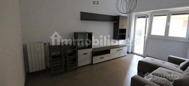 Ponte lungo trilocale con doppi servizi