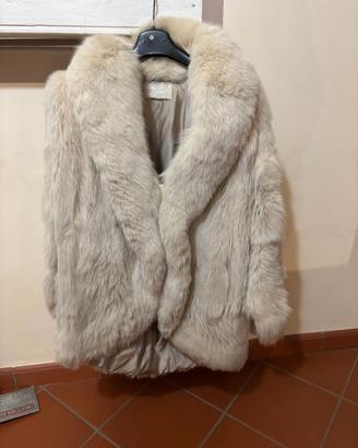 PELLICCIA