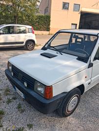 Panda 141 young