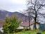 Immagine 2