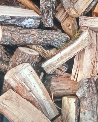 legna secca di bosco 