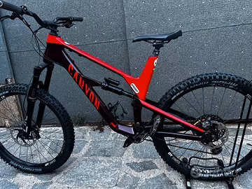 Bici da enduro canyon