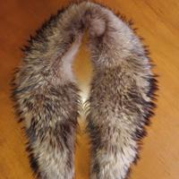 collo di pelliccia murmasky.