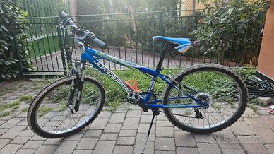 Bicicletta