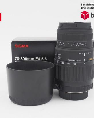 Sigma 70-300 F4-5.6 DG Macro (Nikon)