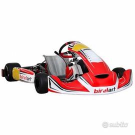 Birel art s19