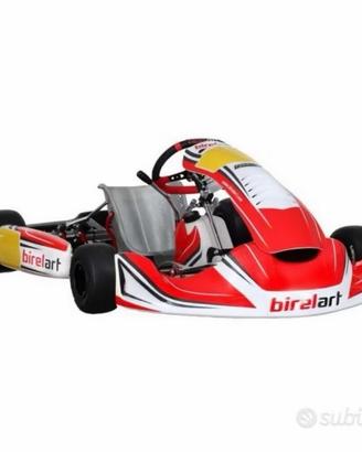 Birel art s19