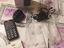 Immagine 1