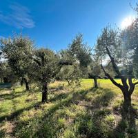 Gallicano nel lazio terreno agricolo adiacente pae