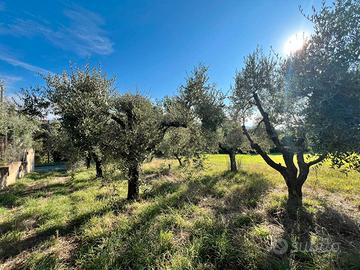 Gallicano nel lazio terreno agricolo adiacente pae