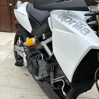 Dorsoduro 1200