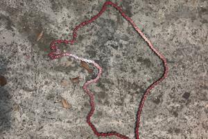 catena rossa passo 420