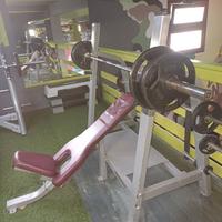 PANCHE PER BILANCERE CON APPOGGIO PROFESSIONALI