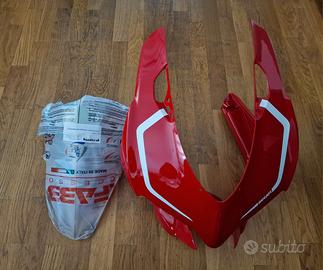 Cupolino Ducati 1199