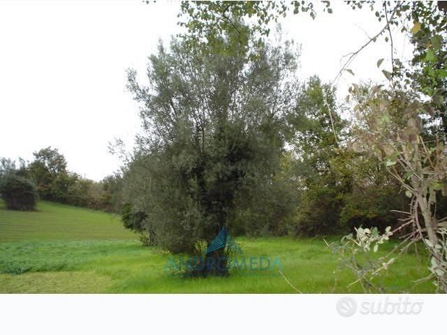 Terreno di 600 m² a Teano - Vista 4