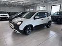 fiat-panda-pandina-cross-1-0-hybrid-65-cv-pronta-c