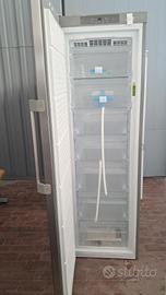 CONGELATORI  VERTICALE  NUOVO DIFFETO STETICO 