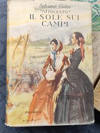 "Ottocento"Il sole sui campi.