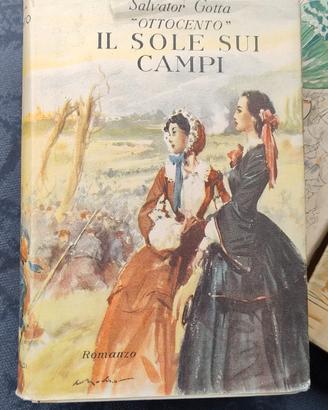 "Ottocento"Il sole sui campi.