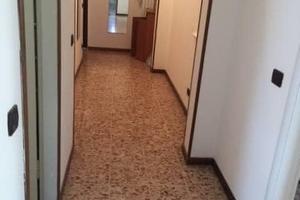 Trilocale traversa viale campari
