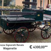 Carro da caccia, calesse e carrozza cavalli