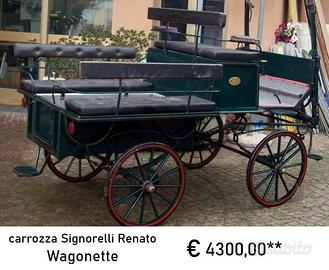 Carro da caccia, calesse e carrozza cavalli