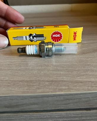 Candela NGK