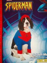 Carnevale dog spider man