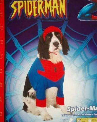 Carnevale dog spider man