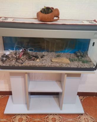 acquario