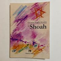 La Shoah Giovanni Angelo Brindisi Medusa Editrice