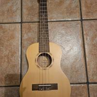 Ukulele concerto Maui Pro