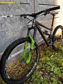Specialized Status 160