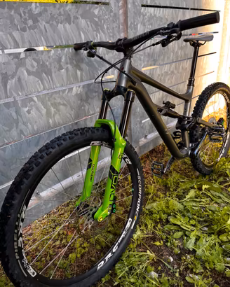 Specialized Status 160