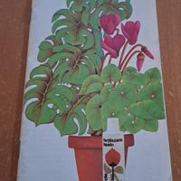 Libretto pubblicitario d'epoca Cifo