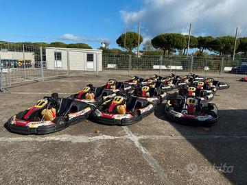 Flotta kart da noleggio birelart