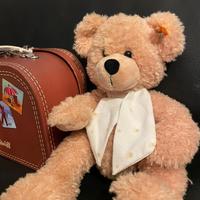Rolex steiff “welcome to this world” teddy bear