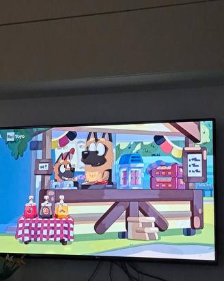 tv 55pollici