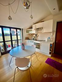 Appartamento in mansarda con terrazzo Milano
