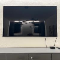 Monitor professionale SWEDX 58" +staffa + APPLE TV