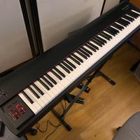 M-Audio Hammer 88 + reggitastiera Proel + Pedale