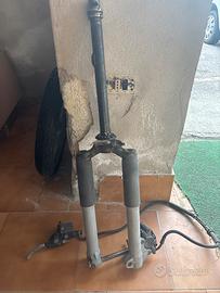 liberty 50 forcelle e ruota