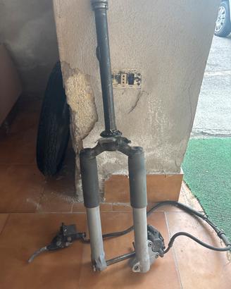 liberty 50 forcelle e ruota