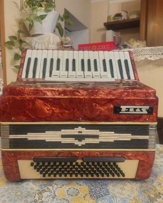fisarmonica 80 bassi