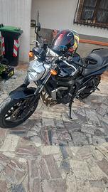 yamaha fz6 