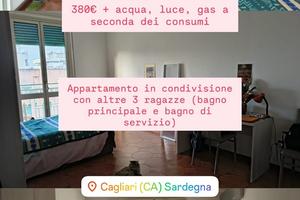 Stanza singola zona San Benedetto