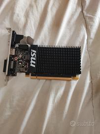 scheda grafica gt 710 2gd3h