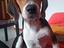 Immagine 3